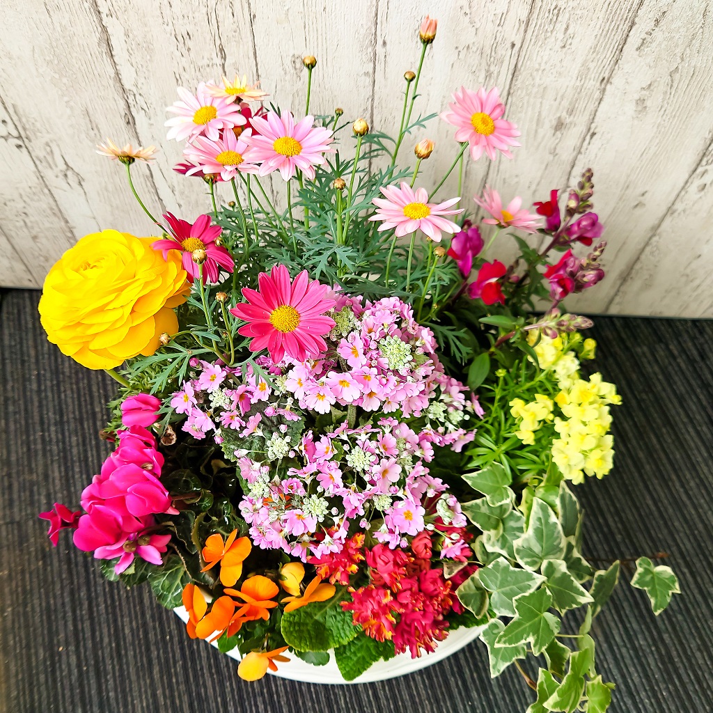 楽天市場】【誕生日】【母の日】ボリュームある「季節の花 おまかせ