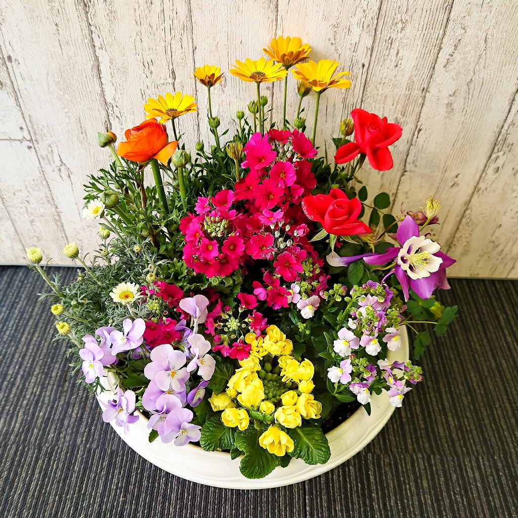 楽天市場】【誕生日】【母の日】ボリュームある「季節の花 おまかせ