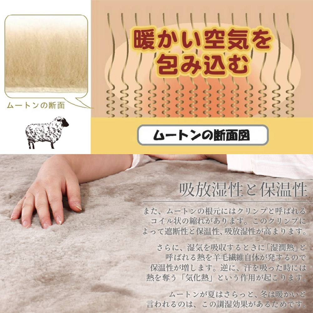 楽天市場】【ランキング1位！】 【レビュー特典付 お手入れブラシ】 新