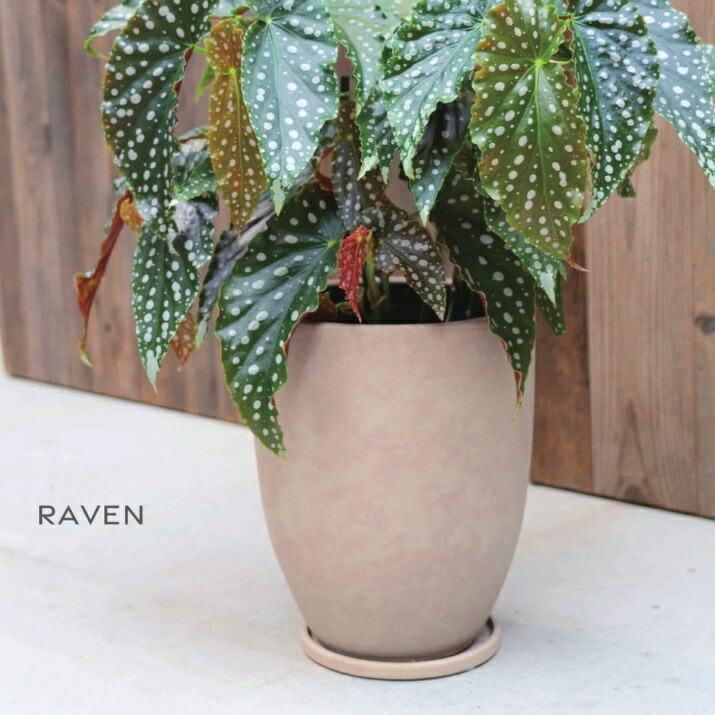 楽天市場】植木鉢 おしゃれ 陶器鉢 レイブントールTL (2色)＜ 21cm 7号