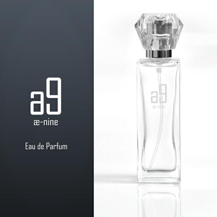 楽天市場】ELMA エルマ スチーム洗浄機 45Basic ハンドノズルタイプ