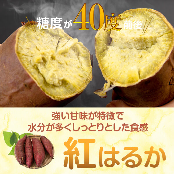 楽天市場】【サツマイモ苗】【べにはるか】芋苗 10本 さつまいも