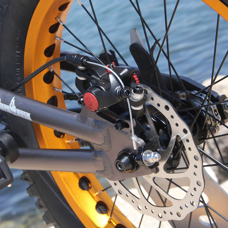 楽天市場】トライアル自転車FullMarks 20インチ【 COLOMA Disk