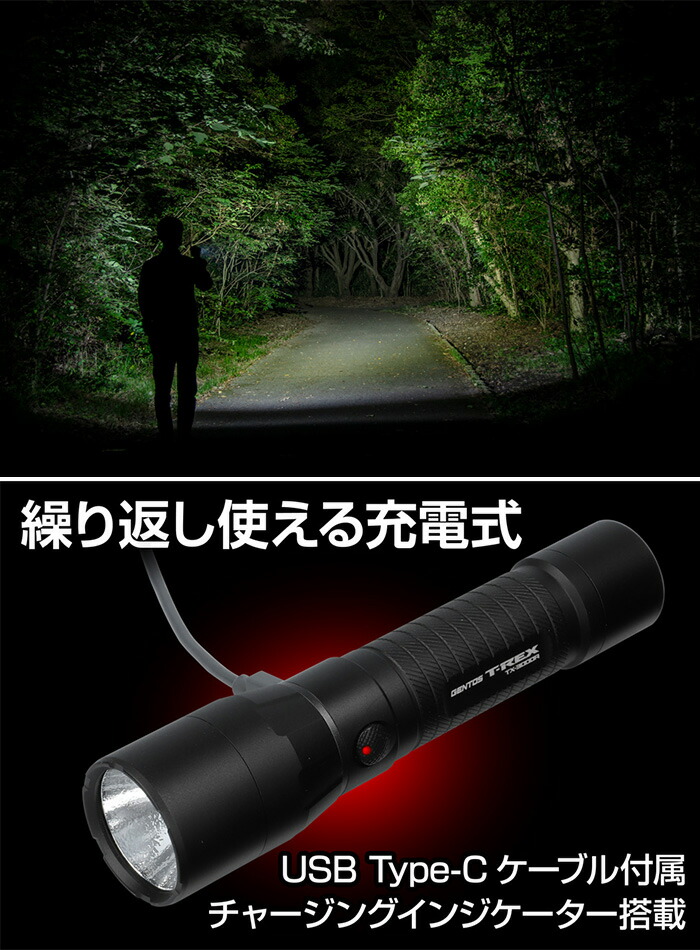 楽天市場】ジェントス LEDハンディライト TXシリーズ GENTOS TX-3000R