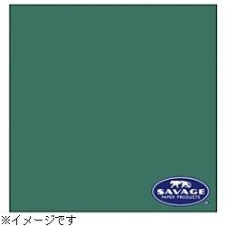 楽天市場】サベージ背景紙 ミントグリーンの通販