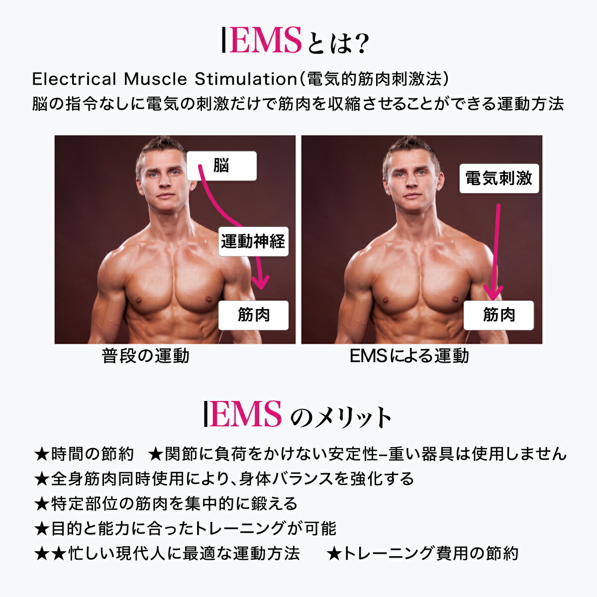 楽天市場】Applips ヒップトレーナー ems 効果 骨盤底筋 グッズ ems お