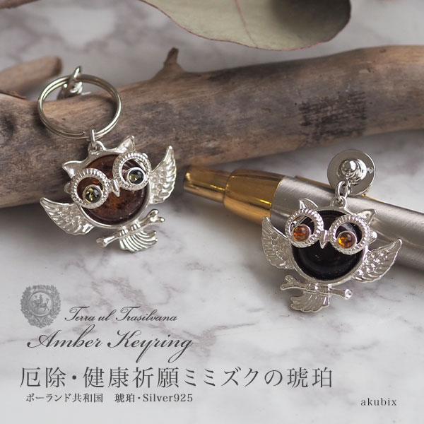 楽天市場】【バルト海の琥珀】シルバーミミズクタックピン