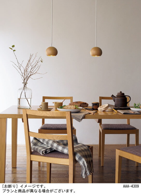 楽天市場】パナソニック 天井照明器具 ペンダントライト 配線ダクト