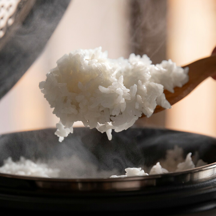 楽天市場】BALMUDA The Gohan／バルミューダ ザ ゴハン K08A【送料無料