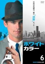楽天市場】ホワイトカラー DVDの通販