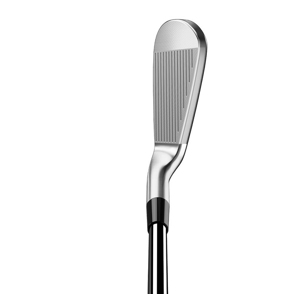 楽天市場】テーラーメイド P8CB アイアン 5本セット （＃6〜9、PW