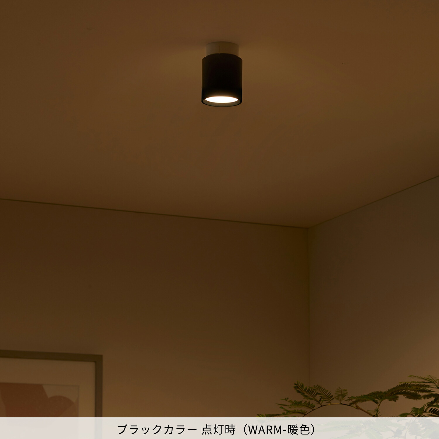 楽天市場】【アートワークスタジオ公式】ダウンライト【Grid-ceiling