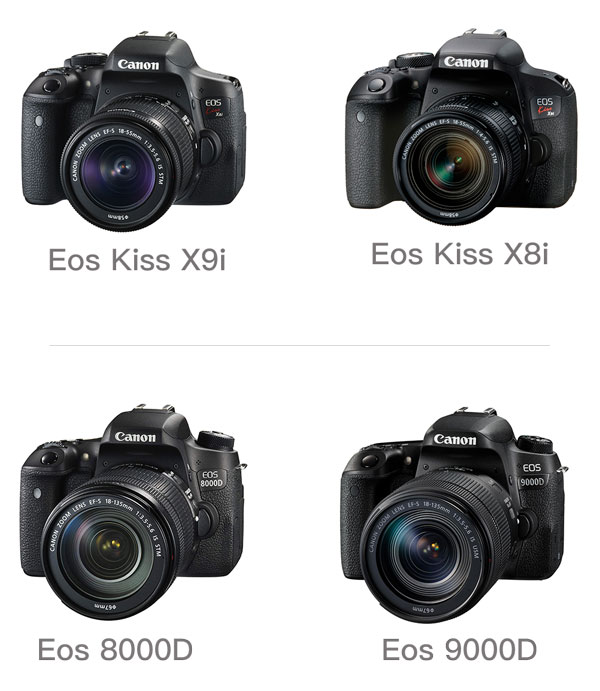 楽天市場】【CANON EOS Kiss X10i X9i X8i Eos 9000D 8000D 専用