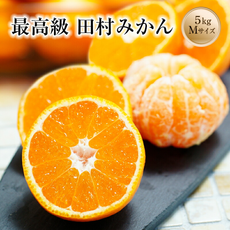 楽天市場】2025年 ご予約開始 みかん ミカン 蜜柑 5kg 送料無料 ギフト