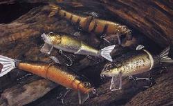 楽天市場】Megabass/メガバスIT-JACK Jr./IT-ジャック ジュニア