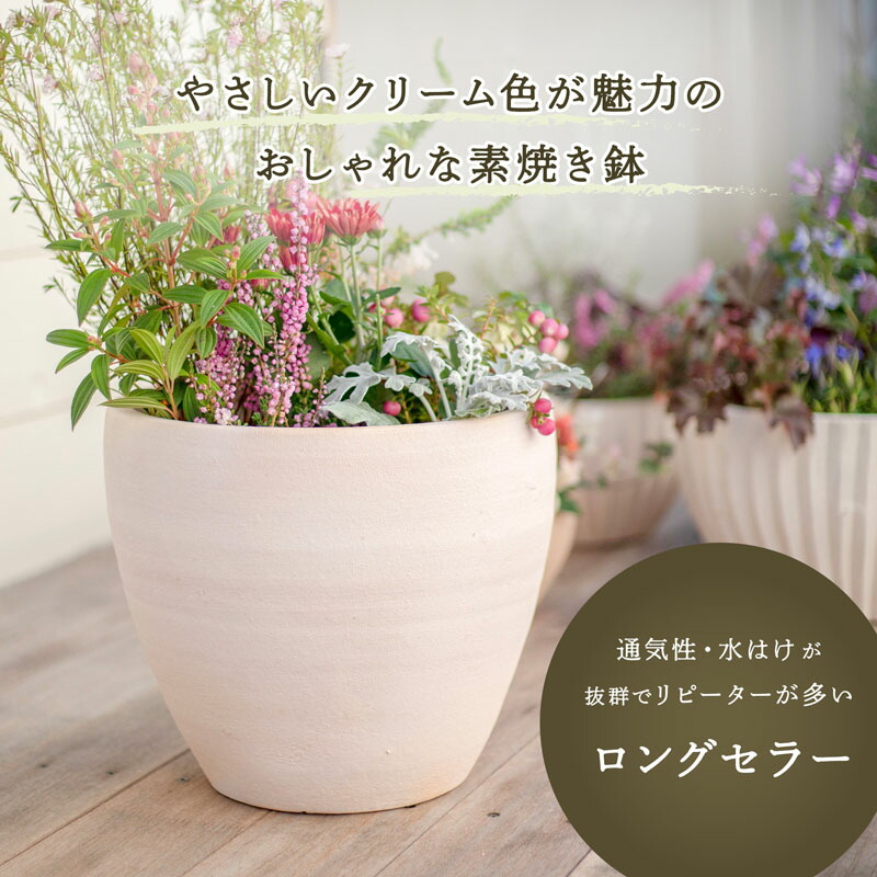 楽天市場】サフィ E30W Sサイズ 6号鉢 ≪植木鉢 陶器 白系テラコッタ