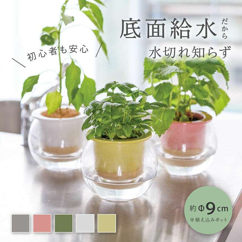 楽天市場】レチューザ プランター LECHUZA クラシコ・ジョーカー43