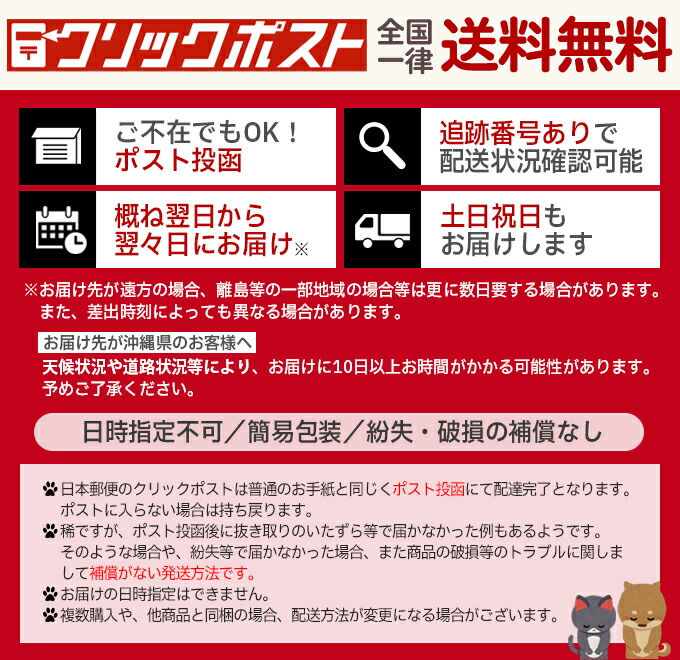 楽天市場】【10個セット】クリックポスト送料無料 シック P-30 替刃 30