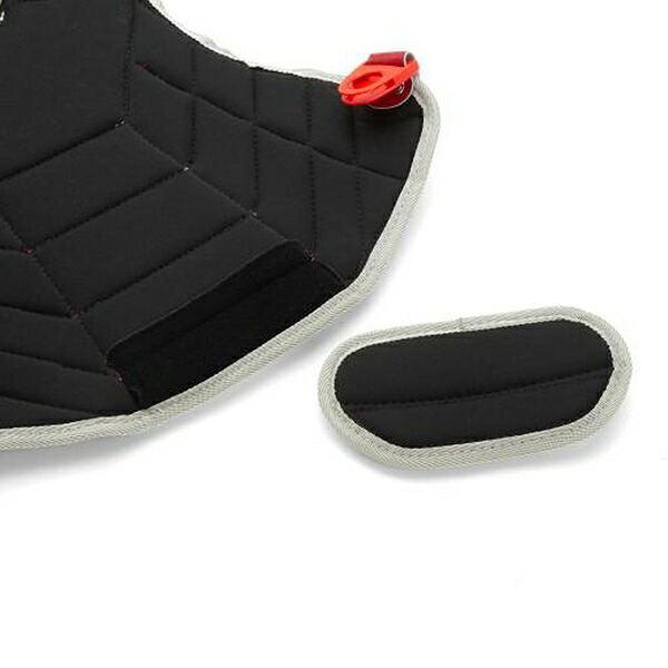 楽天市場】ソフトボール キャッチャープロテクター 一般 ミズノ MIZUNO