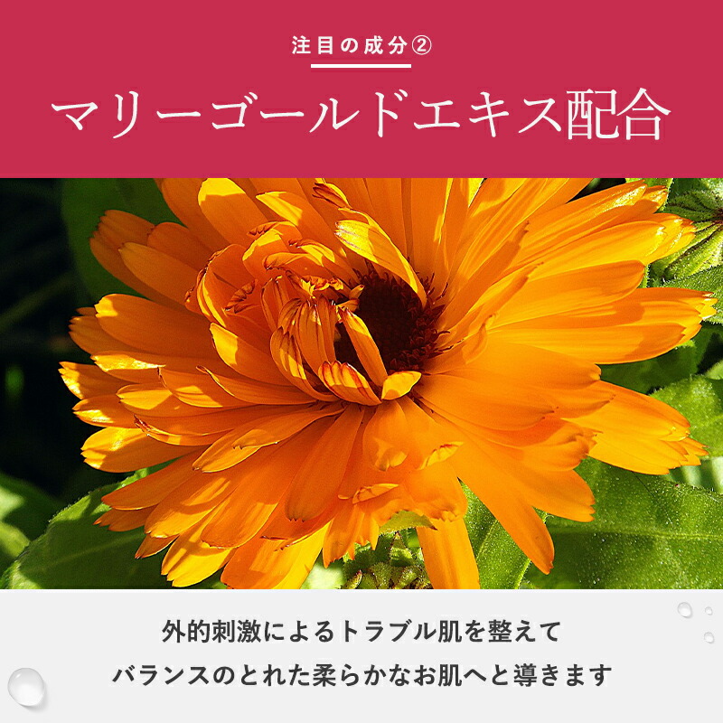 楽天市場】【正規販売店】 マリアギャラン ジェントルクレンジング