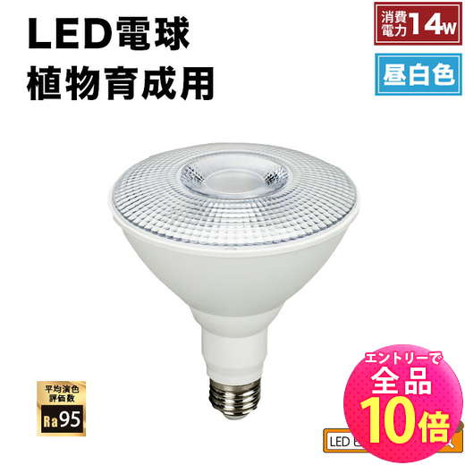 楽天市場】harudesign 植物育成ledライト hasu 38 spec 9 6kの通販