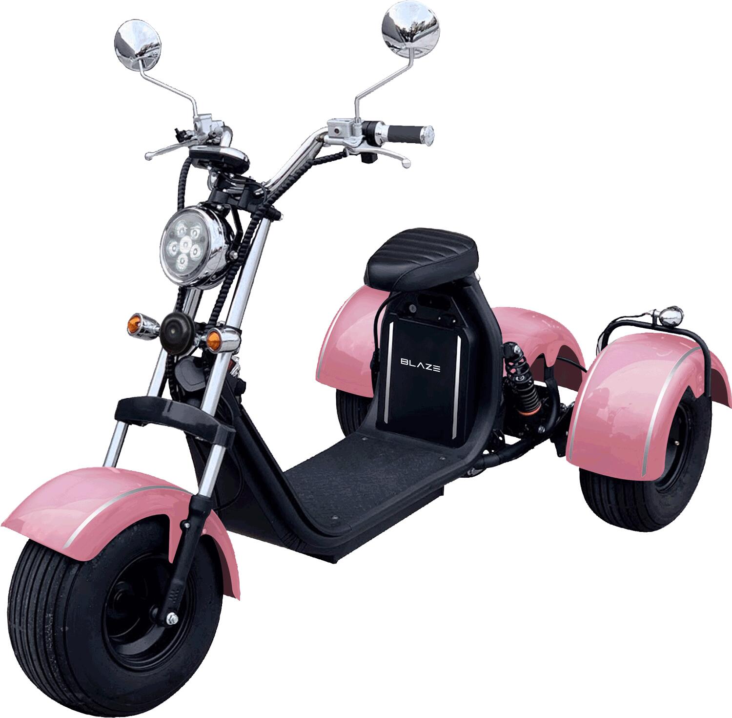 楽天市場】ブレイズ EVトライク (諸費用込み) ※別途配送費用