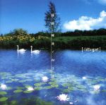 楽天市場】cali≠gari 憧憬、睡蓮と向日葵の通販