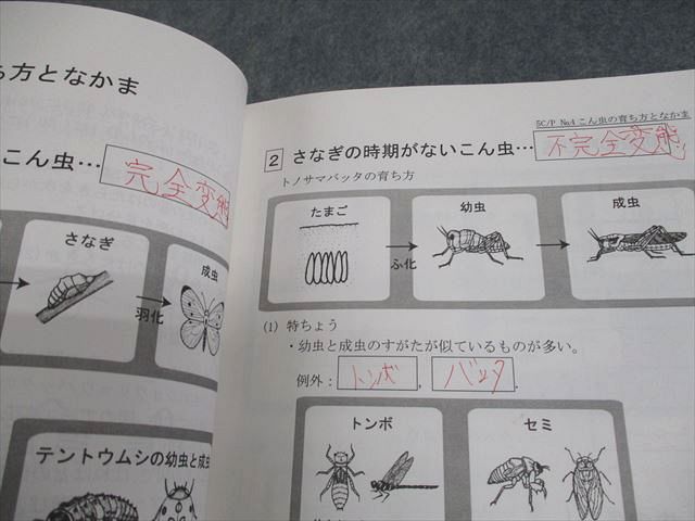 楽天市場】希学園 小5 ベーシック 理科 C/Pコース オリジナルテキスト