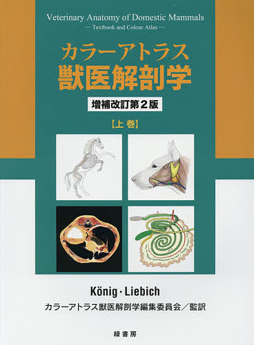 楽天市場】カラーアトラス獣医解剖学 下巻の通販