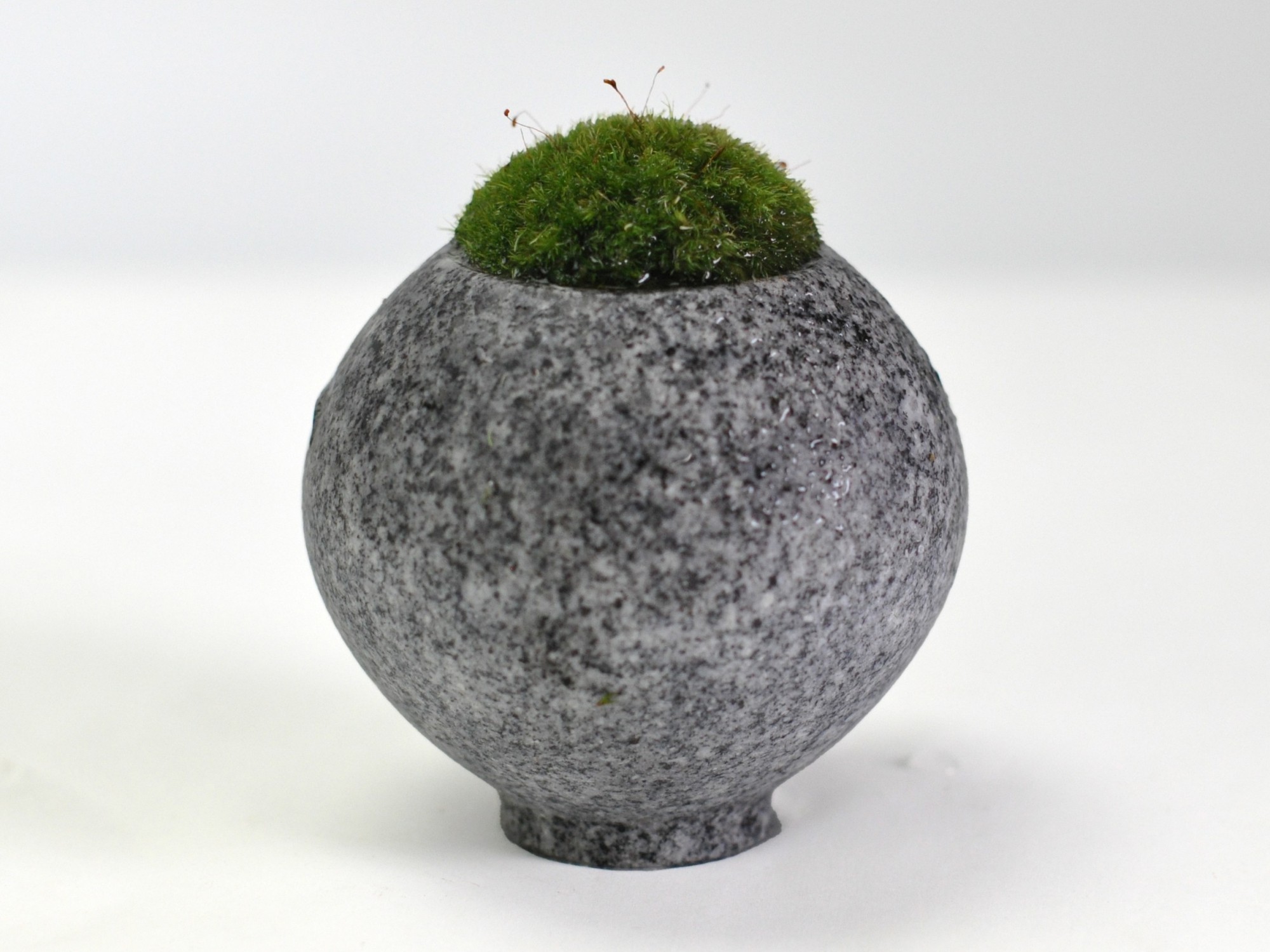 楽天市場】庵治石の器 苔盆栽 フリーザ インテリアグリーン 和風 和