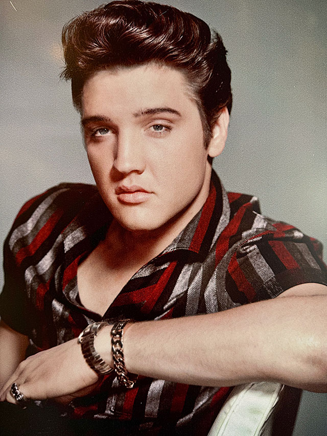 楽天市場】エルヴィス・プレスリー ブリキ看板 （アーリープレスリー