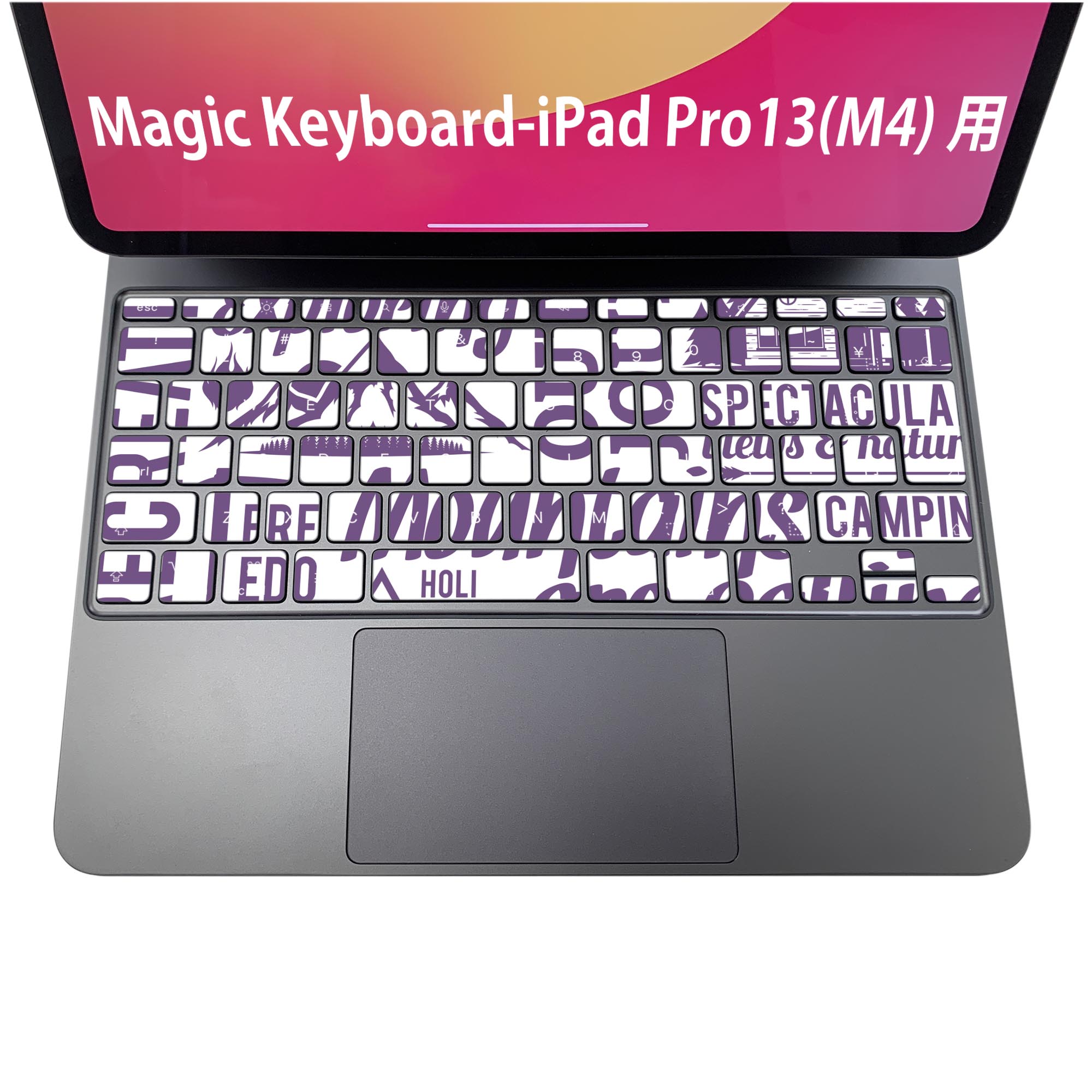 楽天市場】Magic Keyboard 専用 iPadPro11inch 13inch(M4) 2024 第5