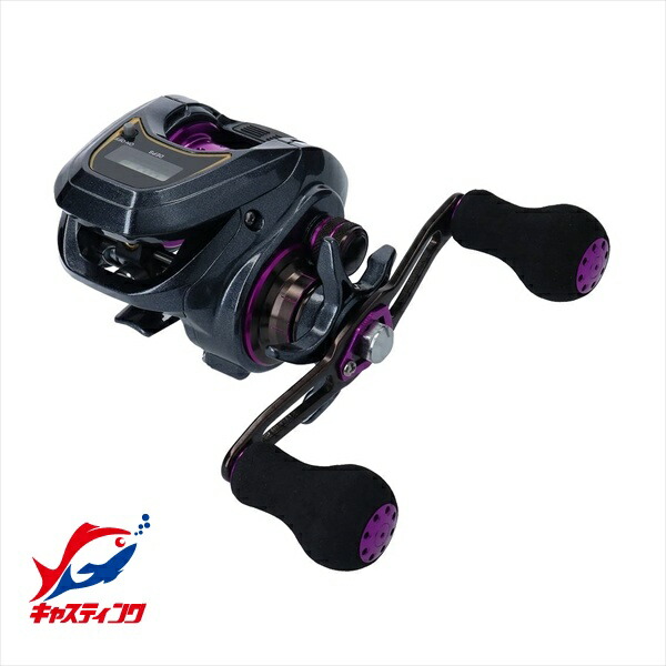 ダイワ ライト SW X ICL (リール) 価格比較 - 価格.com