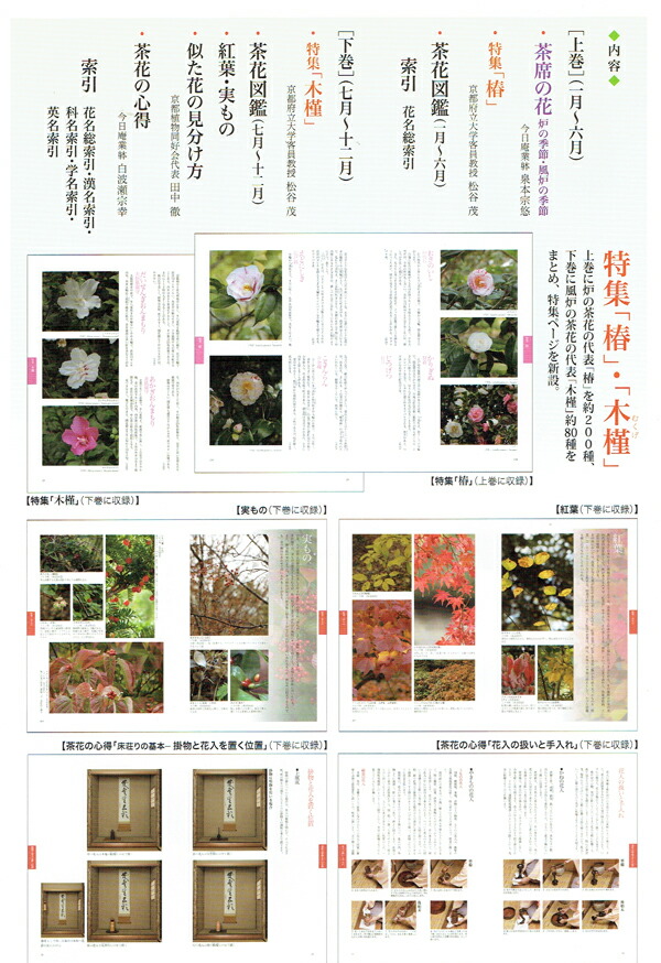 楽天市場】新版 茶花大事典（上巻・下巻）淡交社刊 : 茶道具商 左座園