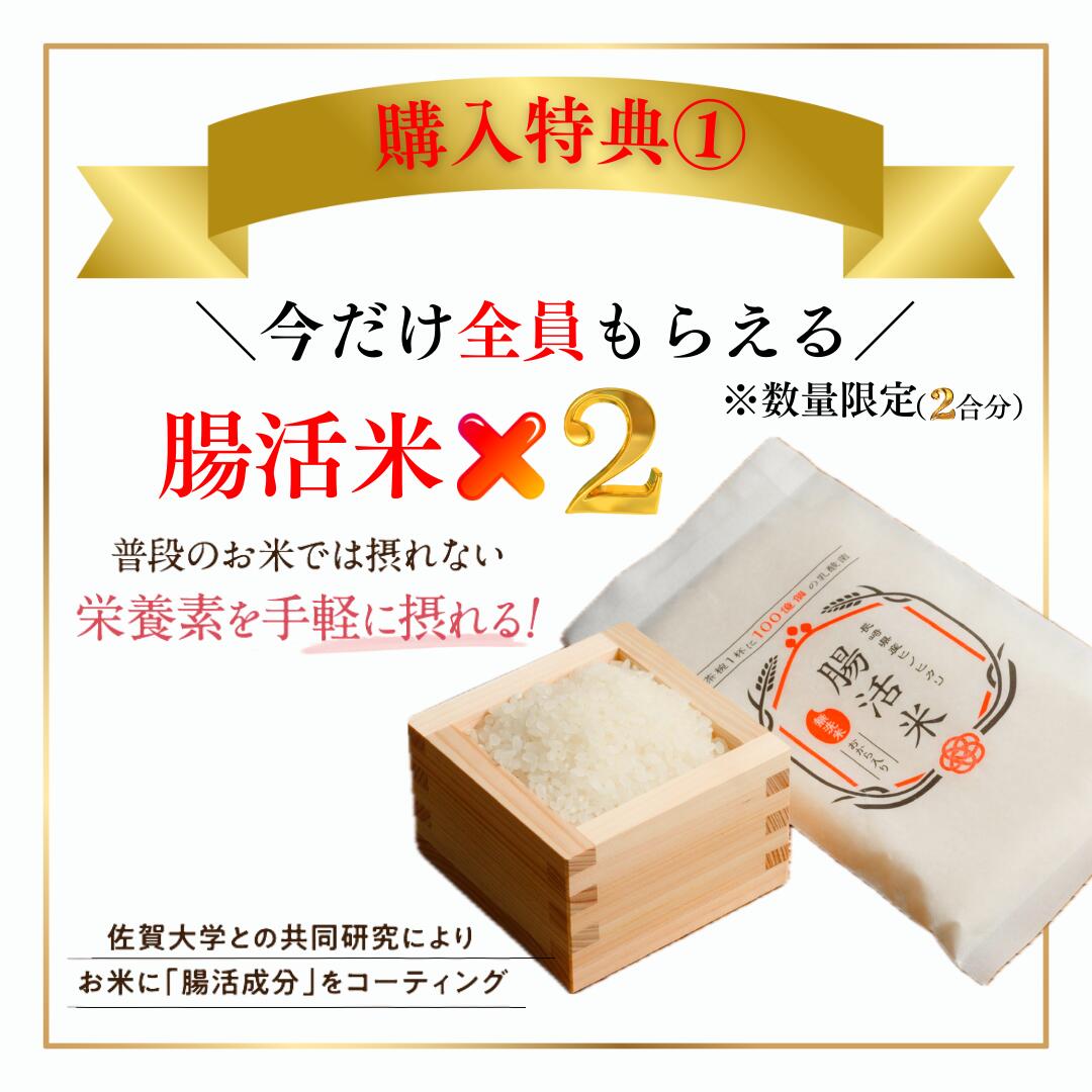 楽天市場】【楽天ランキング1位受賞】 4日～ポイント12倍☆+今だけ腸活
