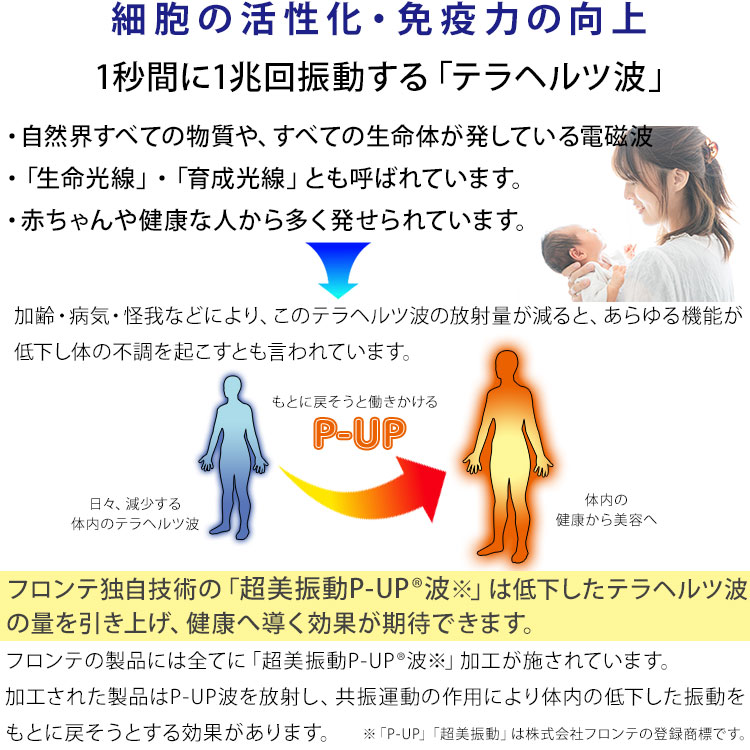 楽天市場】【 正規販売代理店 】ピーアップ イージーリフトローラー