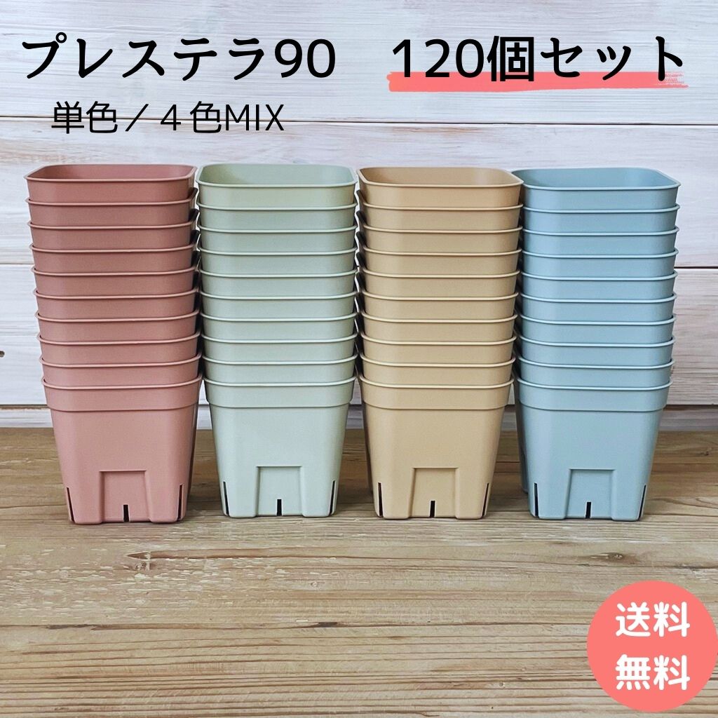 楽天市場】スリット鉢 プレステラ 120個セット 多肉植物 鉢 プレステラ