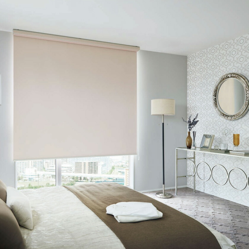 楽天市場】ロールスクリーン タチカワブラインド▽ラルクシールド