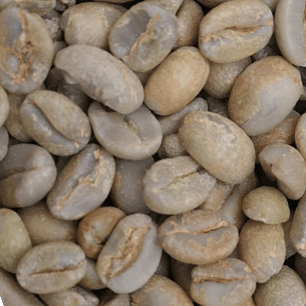 楽天市場】DRIP TRIP コーヒー 生豆 モカ ゲイシャ G1 ナチュラル Q