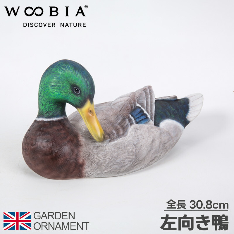 楽天市場】[エントリーで更にP3倍！3/11 1:59まで] 鴨 かも カモ 鳥