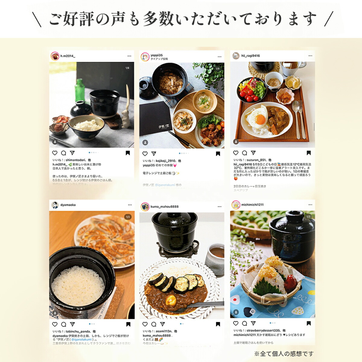 楽天市場】【レンジで 10分 簡単 土鍋】 伊賀ノ匠 一人用 (1人用) 伊賀