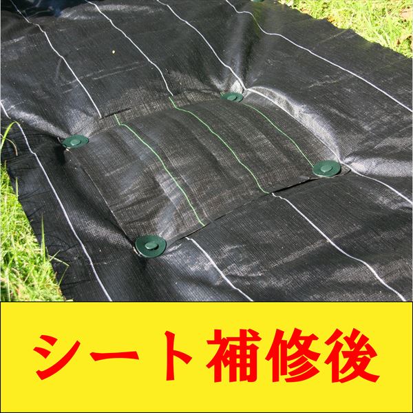 楽天市場】【公式】 防草シート 補修セット シート1mx1m + ハンマー
