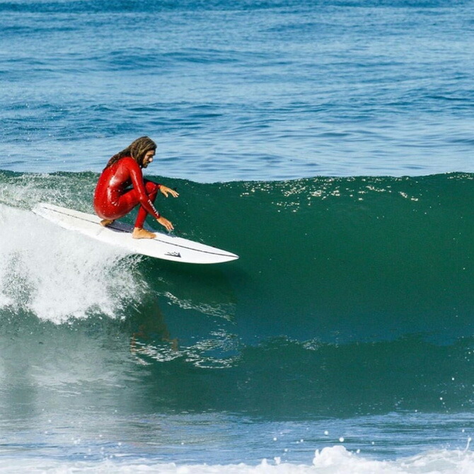 楽天市場】ファイヤーワイヤー サーフボード シーサイド ビヨンド