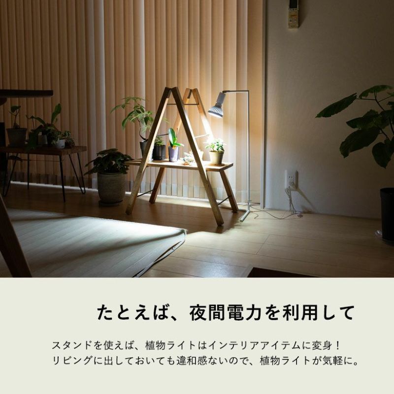 楽天市場】植物育成ライト 観葉植物 多肉向け 植物ライトledプランツ