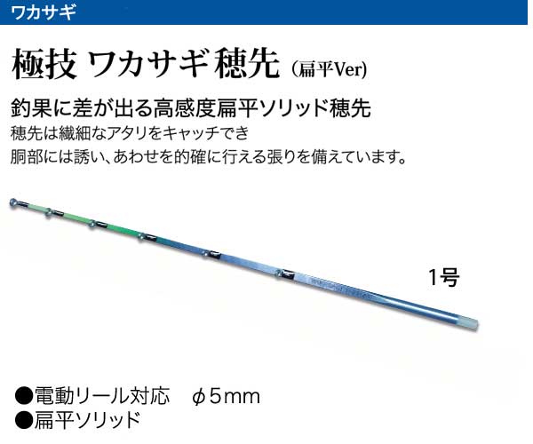 楽天市場】わかさぎセット 極技ワカサギ替え穂先 25cm HAPYSON 電動
