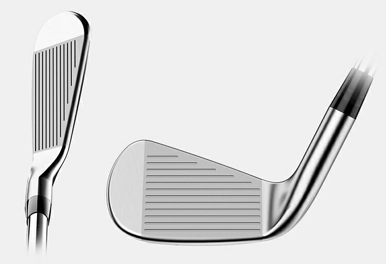 楽天市場】Titleist タイトリスト日本正規品 T100Sアイアン NSPRO105T