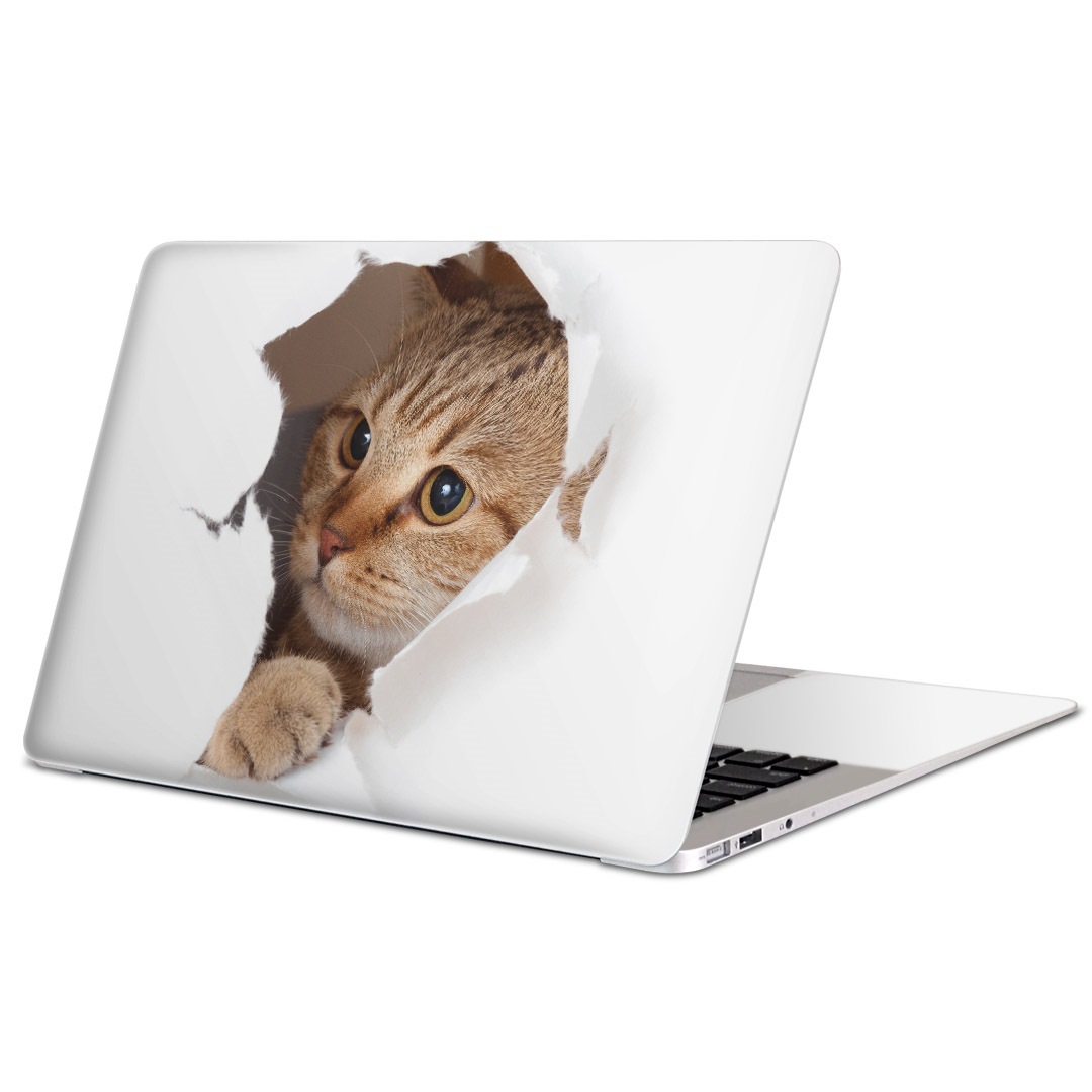 楽天市場】MacBook 用スキンシール マックブック 13インチ 14インチ 15