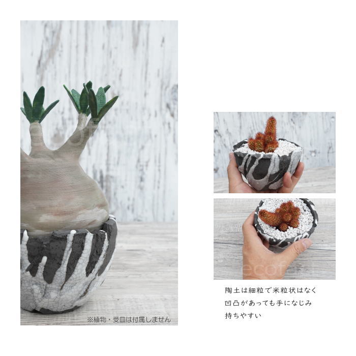 楽天市場】陶器鉢 植木鉢 ミニポット 底穴あり BUNGA POT キレット