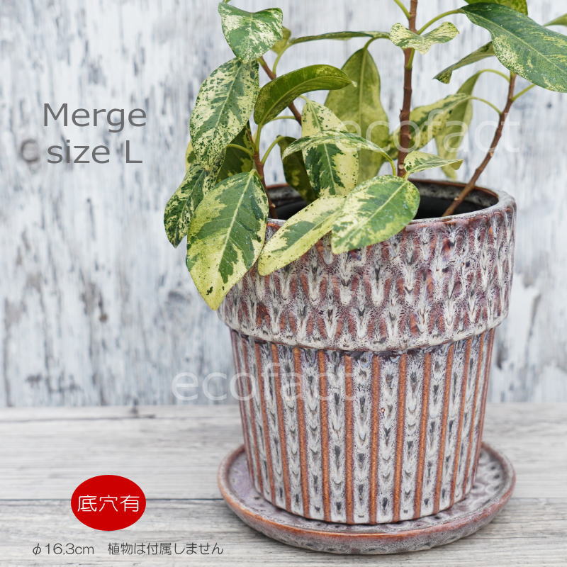 楽天市場】ポット 鉢 植木鉢 プランター おしゃれ 陶器 φ16.3cm Merge