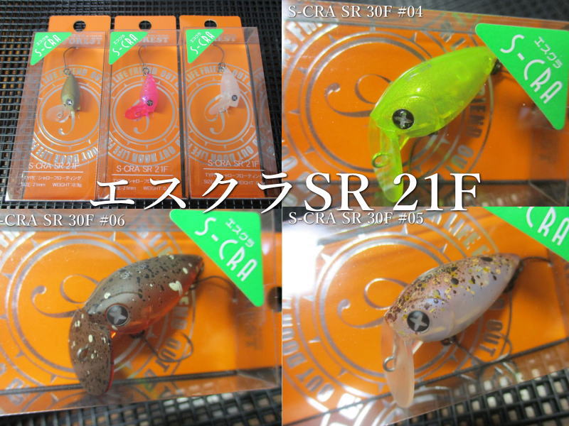 楽天市場】エスクラSR 21F ～全10色 ＜フォレスト FOREST＞ □エリア